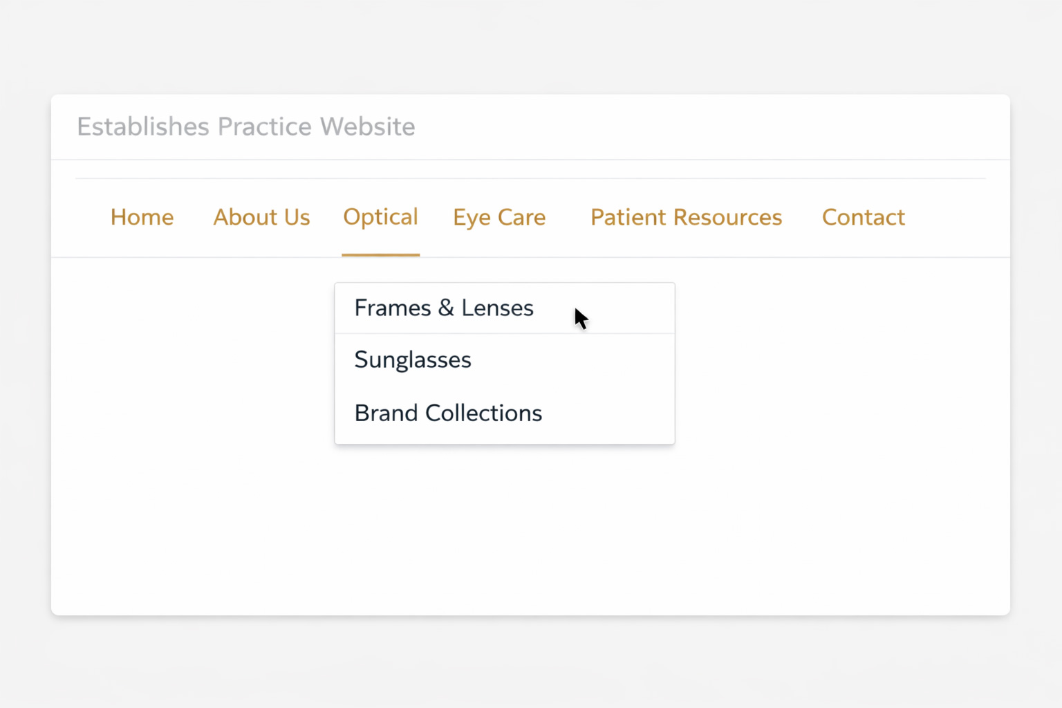 Website menu with Optical clearly featured and prioritized